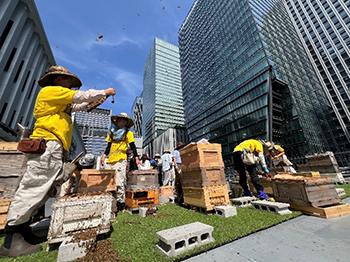 Marunouchi Honey Project