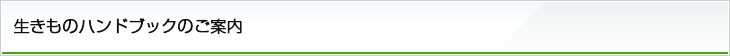 生きものハンドブックのご案内